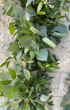 Fresh Garland Italian Ruscus & Eucalyptus Garland // Natural Combo Garland // Wedding Garland // Real Fresh Greenery Garland - CaliforniaFlowerGrowers.com